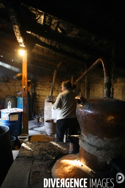 La distillerie de Palinka