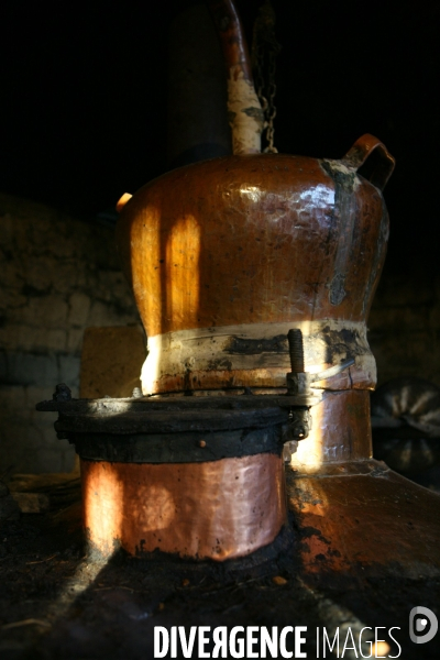 La distillerie de Palinka