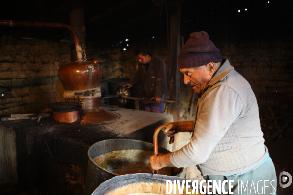 La distillerie de Palinka