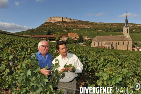 Laurent GERRA dans ses vignobles