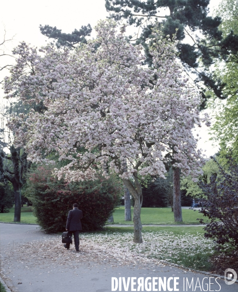 Mulhouse, une ville française