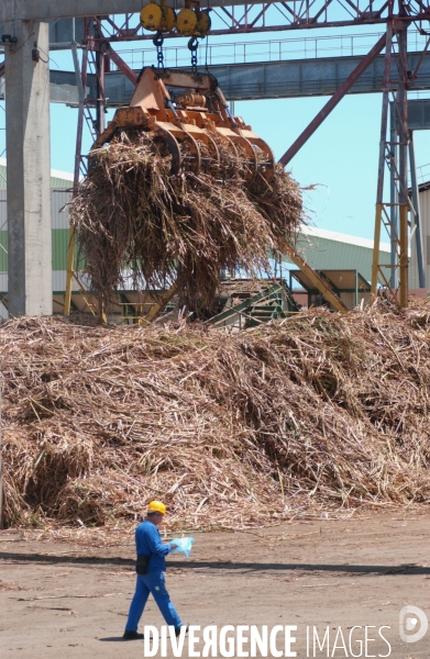 FilièËre sucre sur l ile  de La Réunion