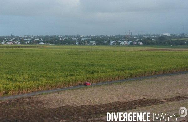 FilièËre sucre sur l ile  de La Réunion