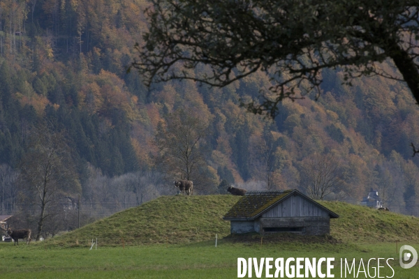 Le  Gruyère Suisse : Un ensemble de bunkers souterrains militaires et civils.