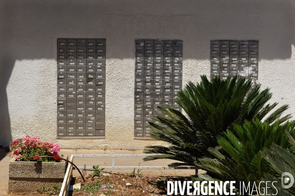 La colonie de Bracha