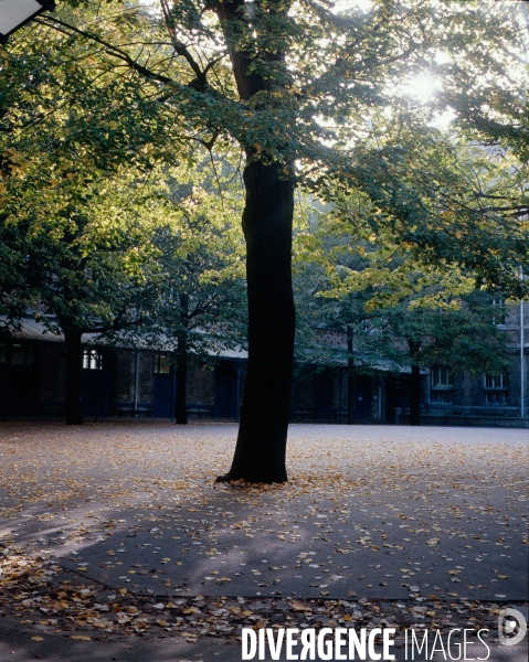 Lycée ///  Secondary school