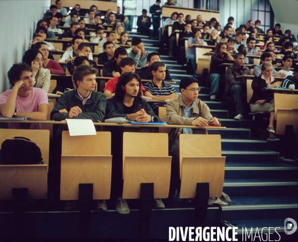 Université(s) /// University, college