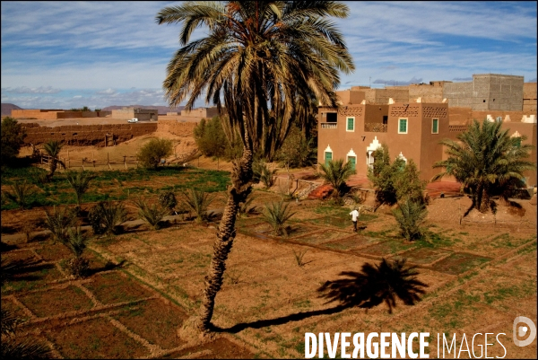 Maroc la vallee du draa