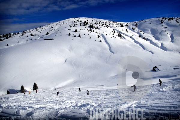 Skieurs en montagne