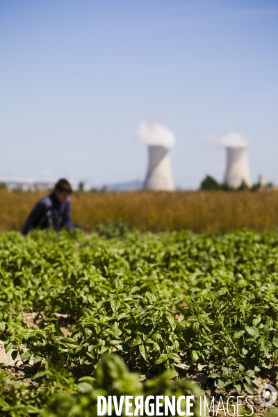 Les riverains de la centrale nucleaire de Tricastin