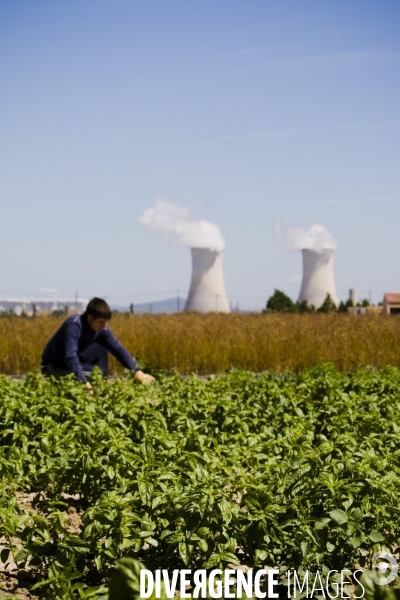 Les riverains de la centrale nucleaire de Tricastin