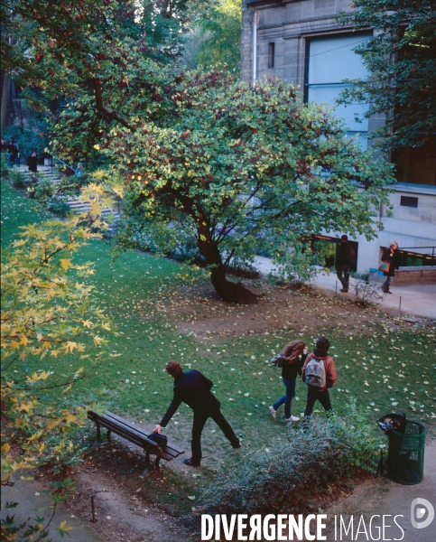 Sciences Po /// Political Studies