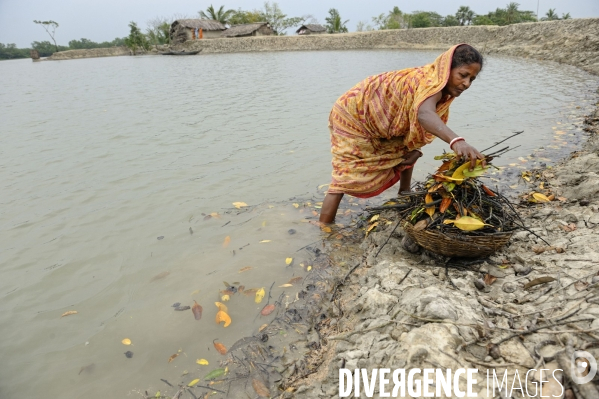 Changement climatique au Bangladesh