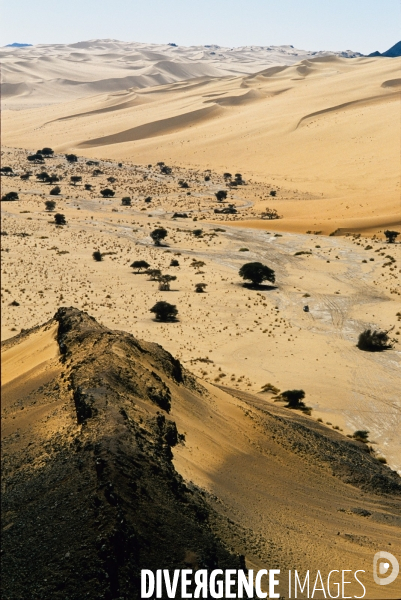 Paysage desert Niger