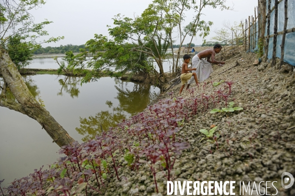 Changement climatique au Bangladesh