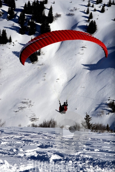 Parapente en ski