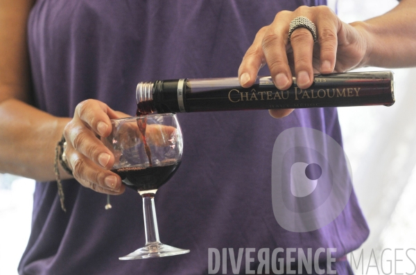 Nouveau conditionnement pour le vin: le WIT (wine in tube)