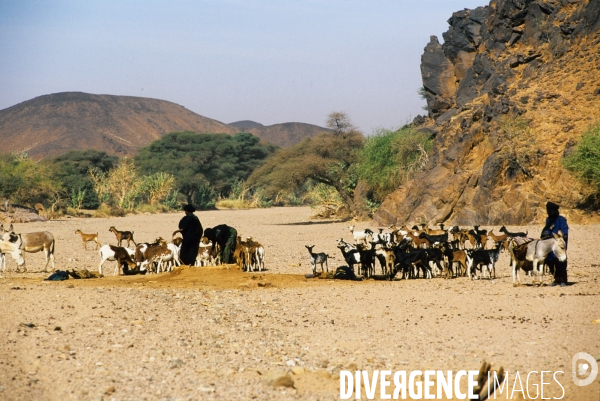Nord Niger Pays Touareg ....