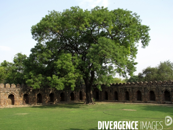 Paysages dans la région du Rajasthan, Inde. Mai 2012.