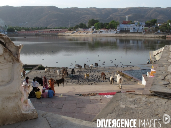 Paysages dans la région du Rajasthan, Inde. Mai 2012.