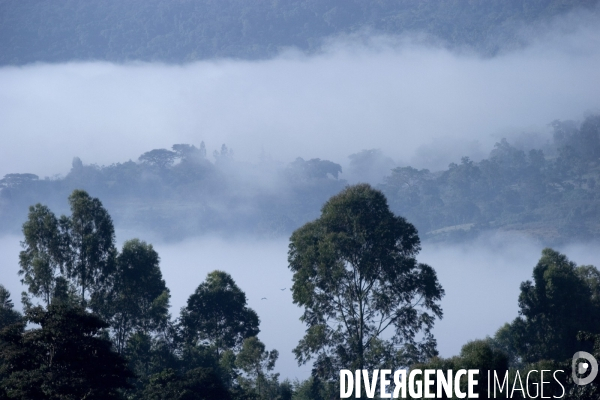 Ethiopia, birthplace of the coffee ### ethiopie , la terre natale du cafe