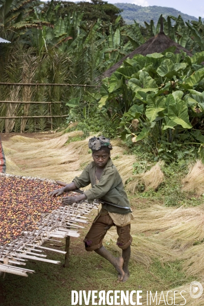 Ethiopia, birthplace of the coffee ### ethiopie , la terre natale du cafe