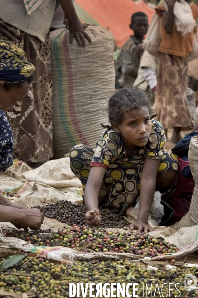 Ethiopia, birthplace of the coffee ### ethiopie , la terre natale du cafe