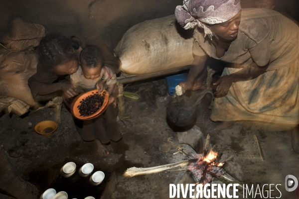 Ethiopia, birthplace of the coffee ### ethiopie , la terre natale du cafe