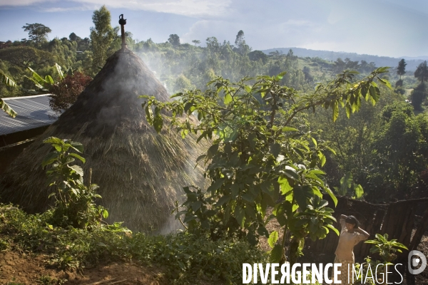 Ethiopia, birthplace of the coffee ### ethiopie , la terre natale du cafe