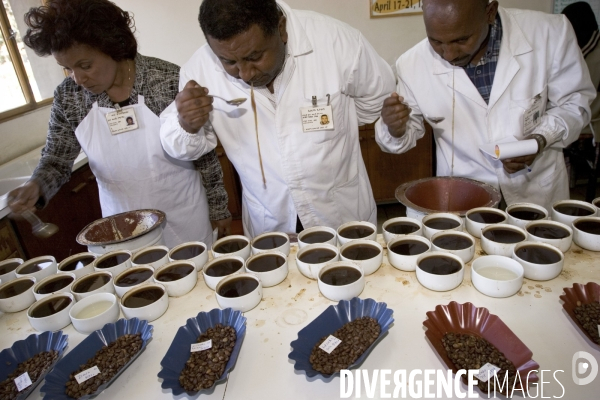 Ethiopia, birthplace of the coffee ### ethiopie , la terre natale du cafe