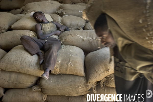 Ethiopia, birthplace of the coffee ### ethiopie , la terre natale du cafe