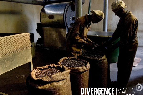 Ethiopia, birthplace of the coffee ### ethiopie , la terre natale du cafe