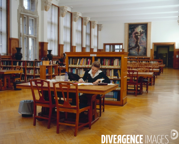 Université(s) /// University, college