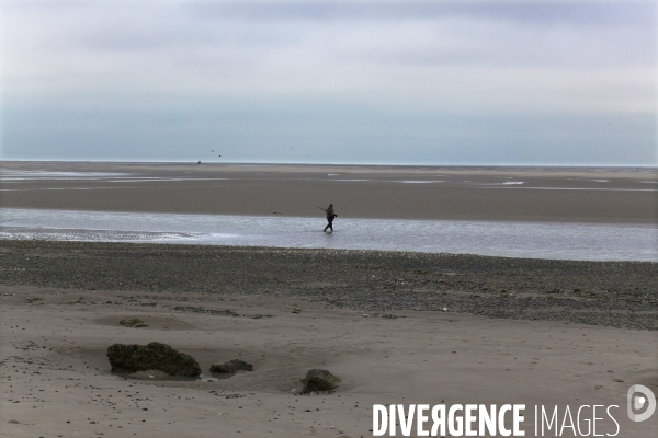 Paysage de la Baie de Somme.