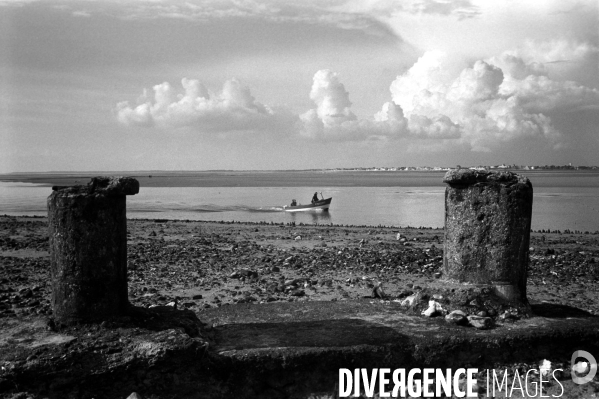 Paysage de la Baie de Somme.