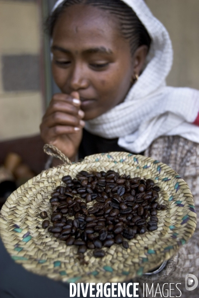 Ethiopia, birthplace of the coffee ### ethiopie , la terre natale du cafe