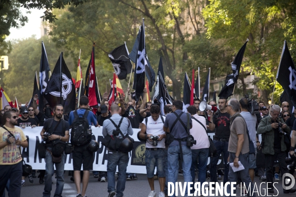 Manifestation Fasciste a Madrid