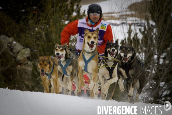 La Pirena Course de chiens de Traineau