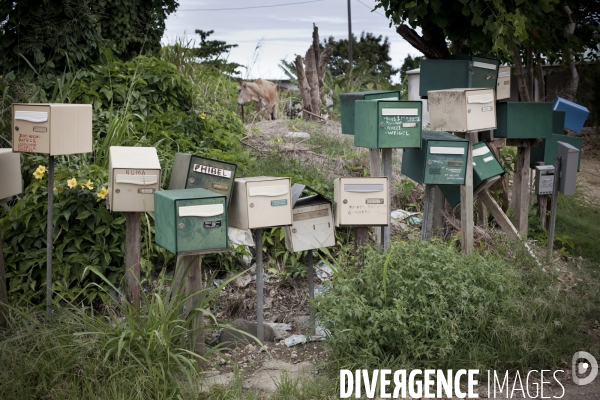 Guadeloupe : a portrait of an island #### portrait d une ile