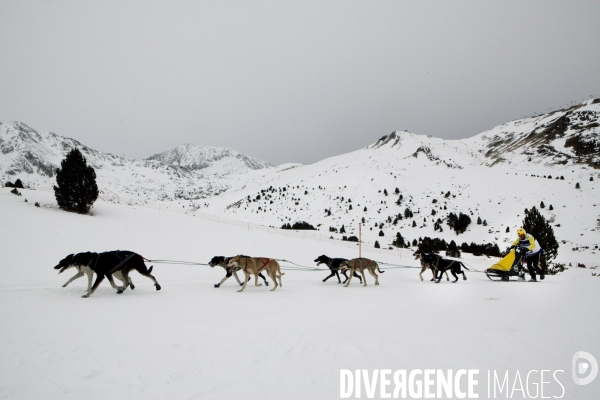 La Pirena Course de chiens de Traineau