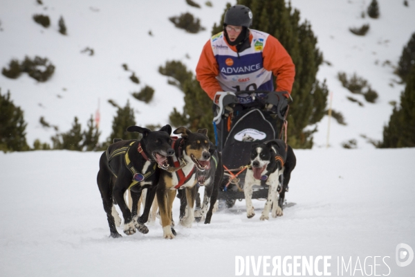 La Pirena Course de chiens de Traineau