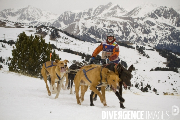 La Pirena Course de chiens de Traineau