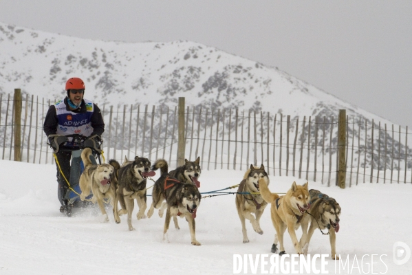 La Pirena Course de chiens de Traineau