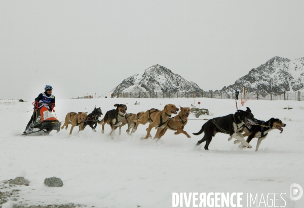 La Pirena Course de chiens de Traineau