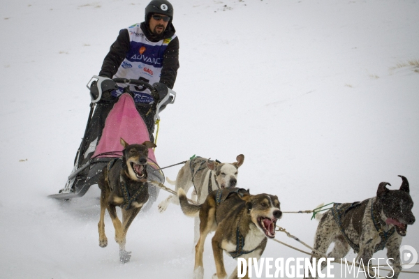 La Pirena Course de chiens de Traineau