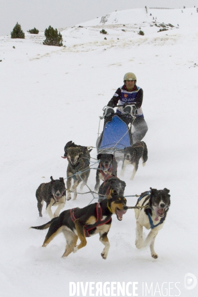 La Pirena Course de chiens de Traineau