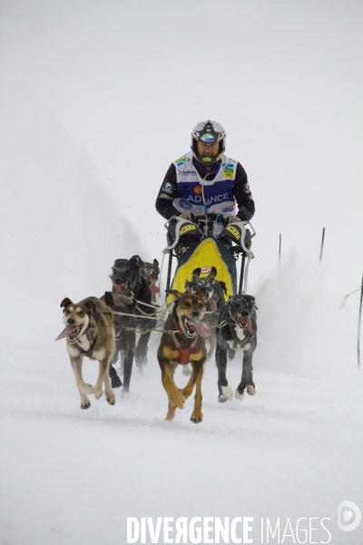 La Pirena Course de chiens de Traineau