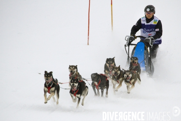 La Pirena Course de chiens de Traineau