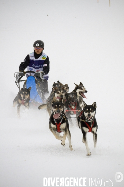 La Pirena Course de chiens de Traineau