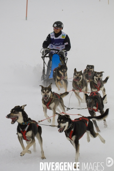 La Pirena Course de chiens de Traineau